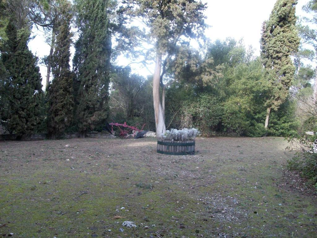 Bed and Breakfast Le Domaine Du Chapitre Carcassonne Esterno foto