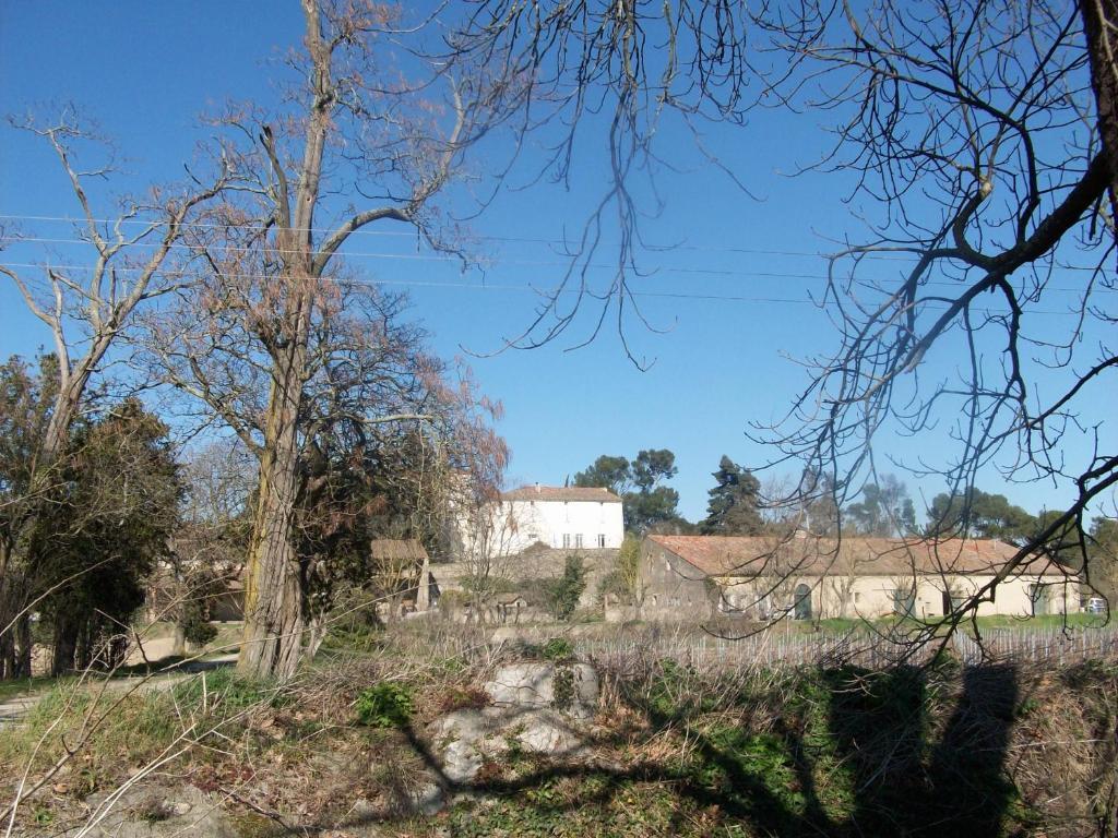 Bed and Breakfast Le Domaine Du Chapitre Carcassonne Esterno foto